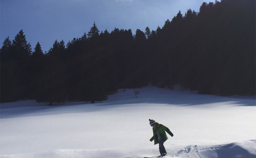Von Wildbad-Kreuth zur Schwarztennalm