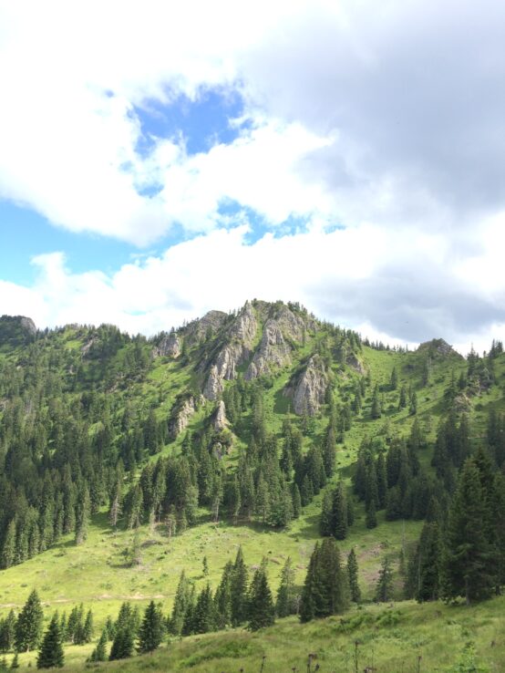 Wir haben ein Panorama.