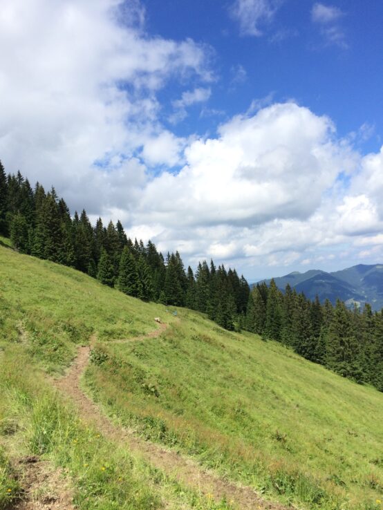 Vom August-Schuster-Haus geht man erst mal quer. Mitten durch Kuhscheiße.