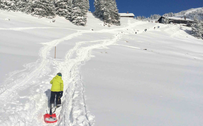 Rodeln von der Oberen Firstalm