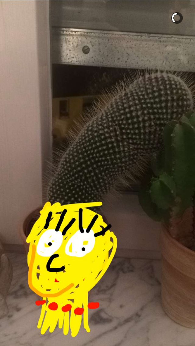 Post von @heibie &ndash; S01E13: Die drei It-Girls vom Foodtruck