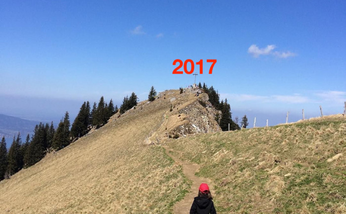 Mein 2017