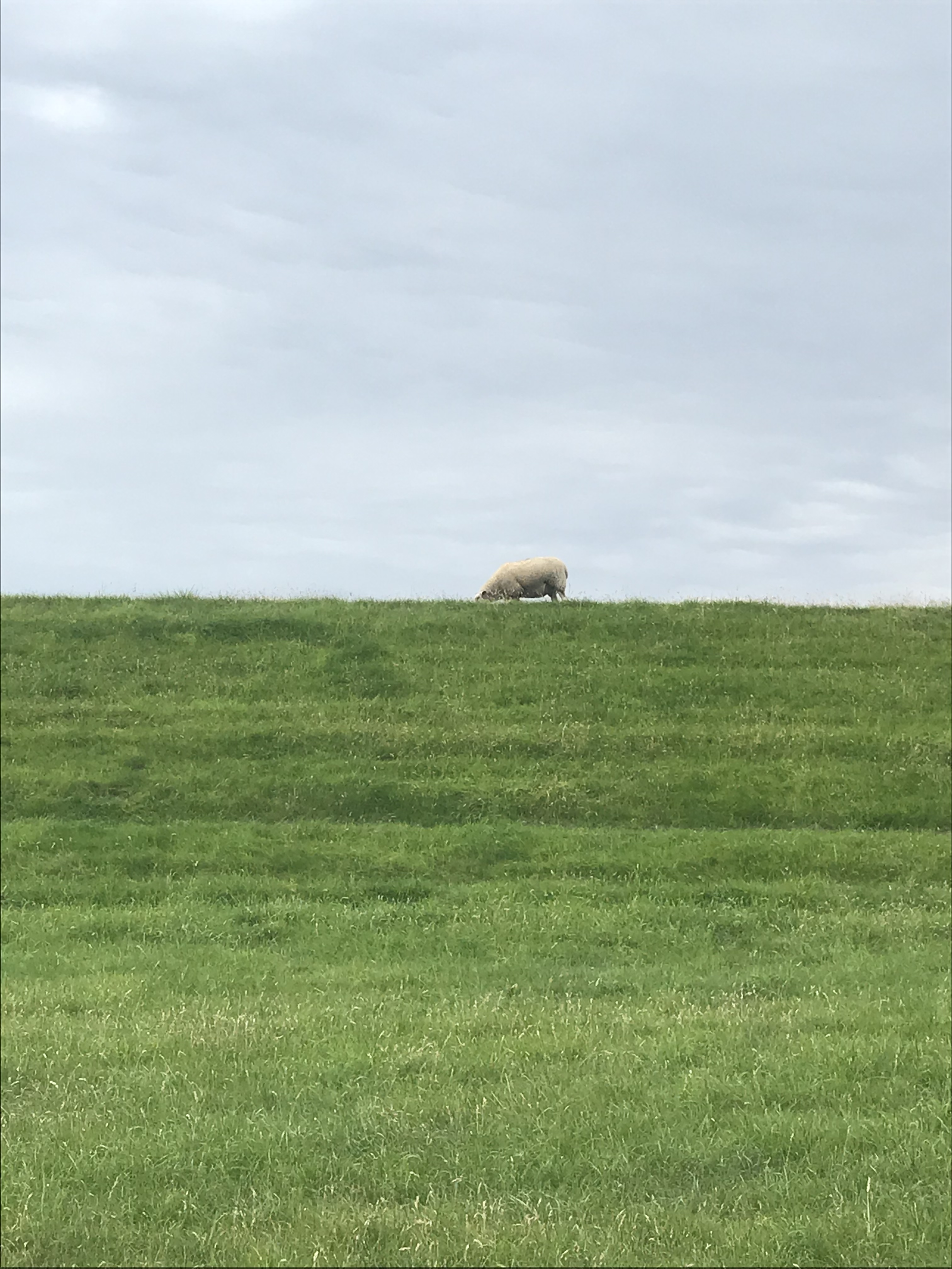 Tag 1: Auf dem Nordseeradweg