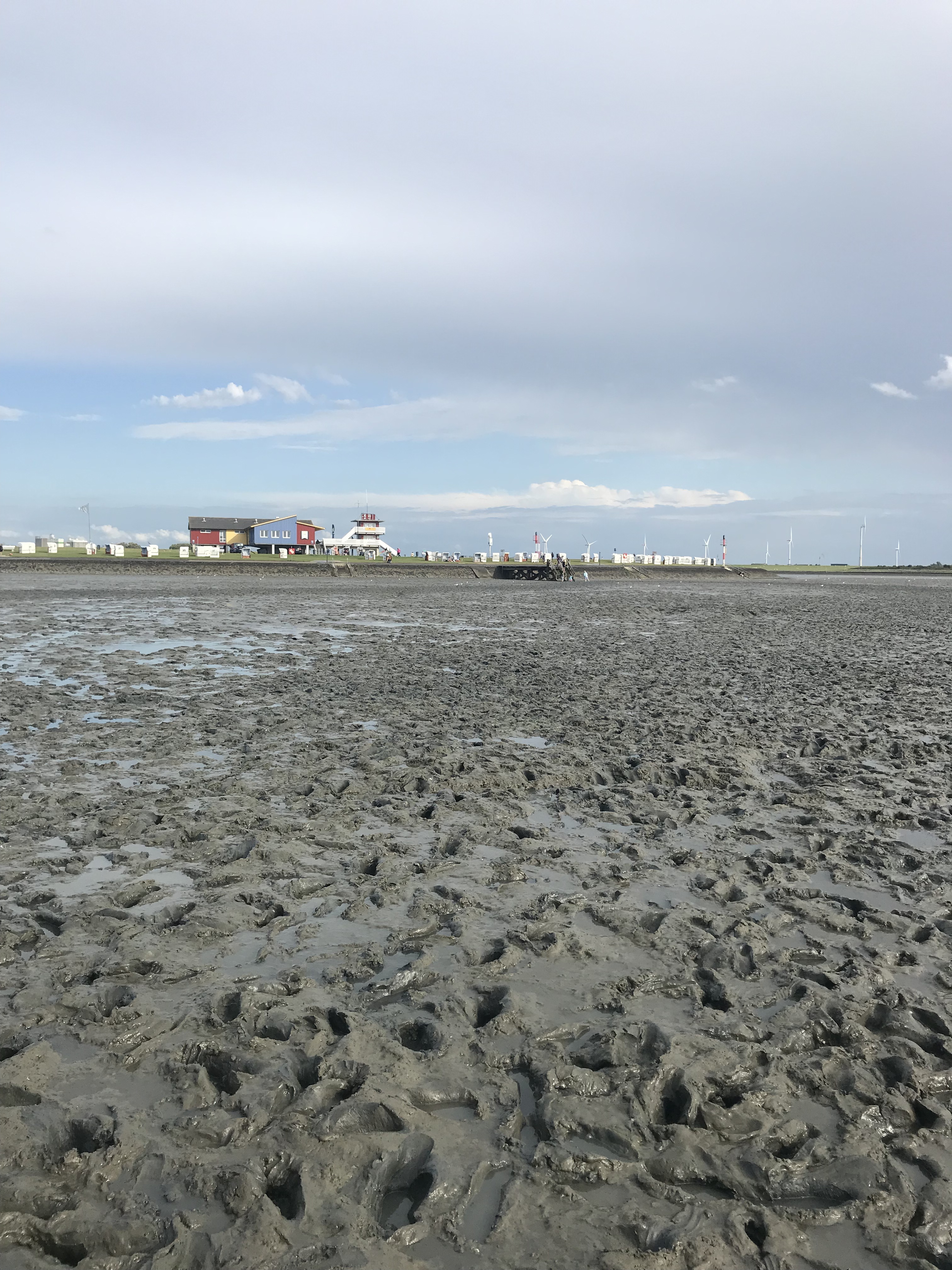 Tag 8: Auf dem Nordseeradweg