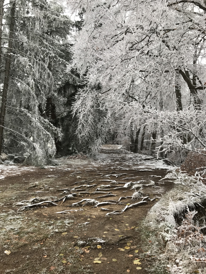 4.12.2022 - Minutenmarathonstreak 22