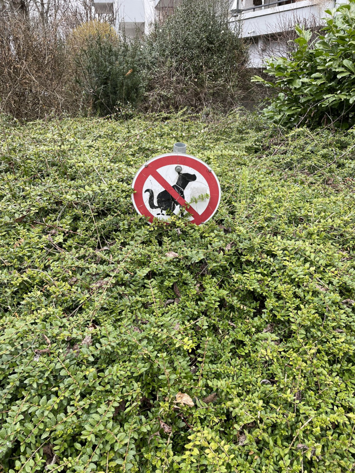 Alles ist verboten (1)