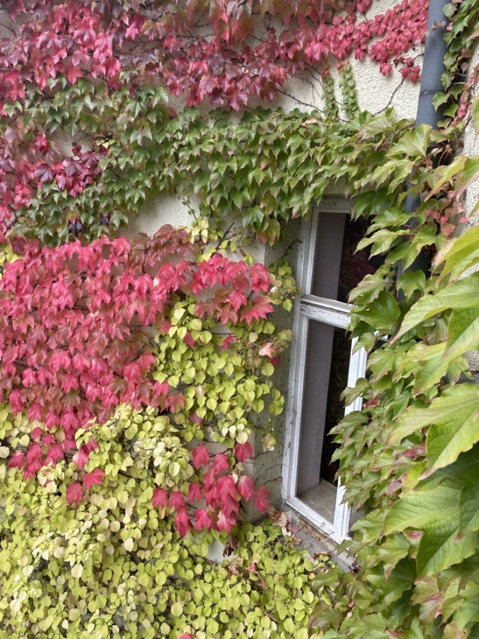 Herbst und Gef&uuml;hle