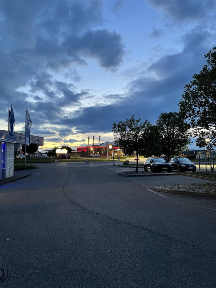 Ameisen im Handgep&auml;ck