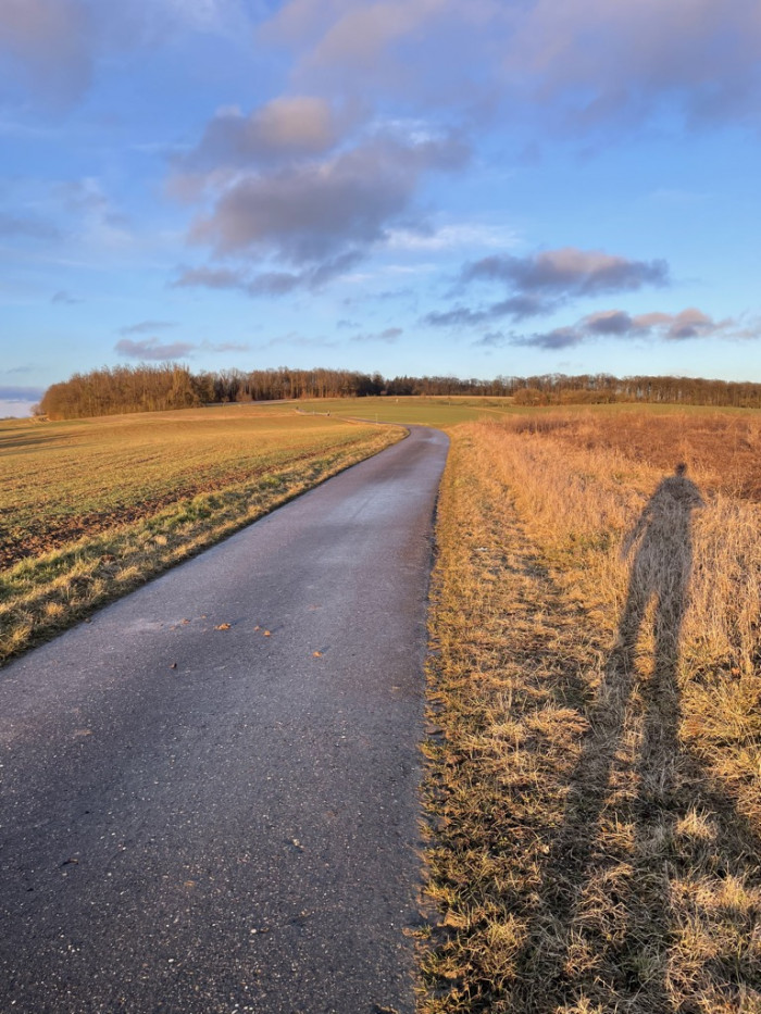 Schatten, Radioleichen und Modeverbrechen