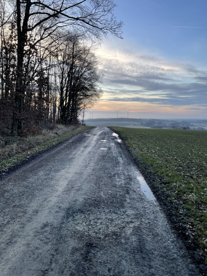 Wind, Tiere und Musik