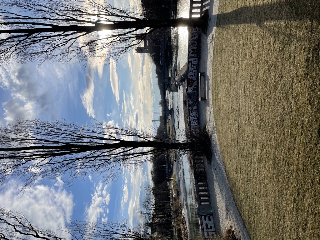 Links im Fr&uuml;hling