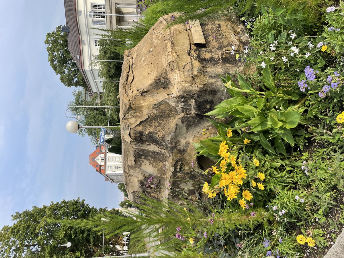 Auto - Abbau und Aufbau