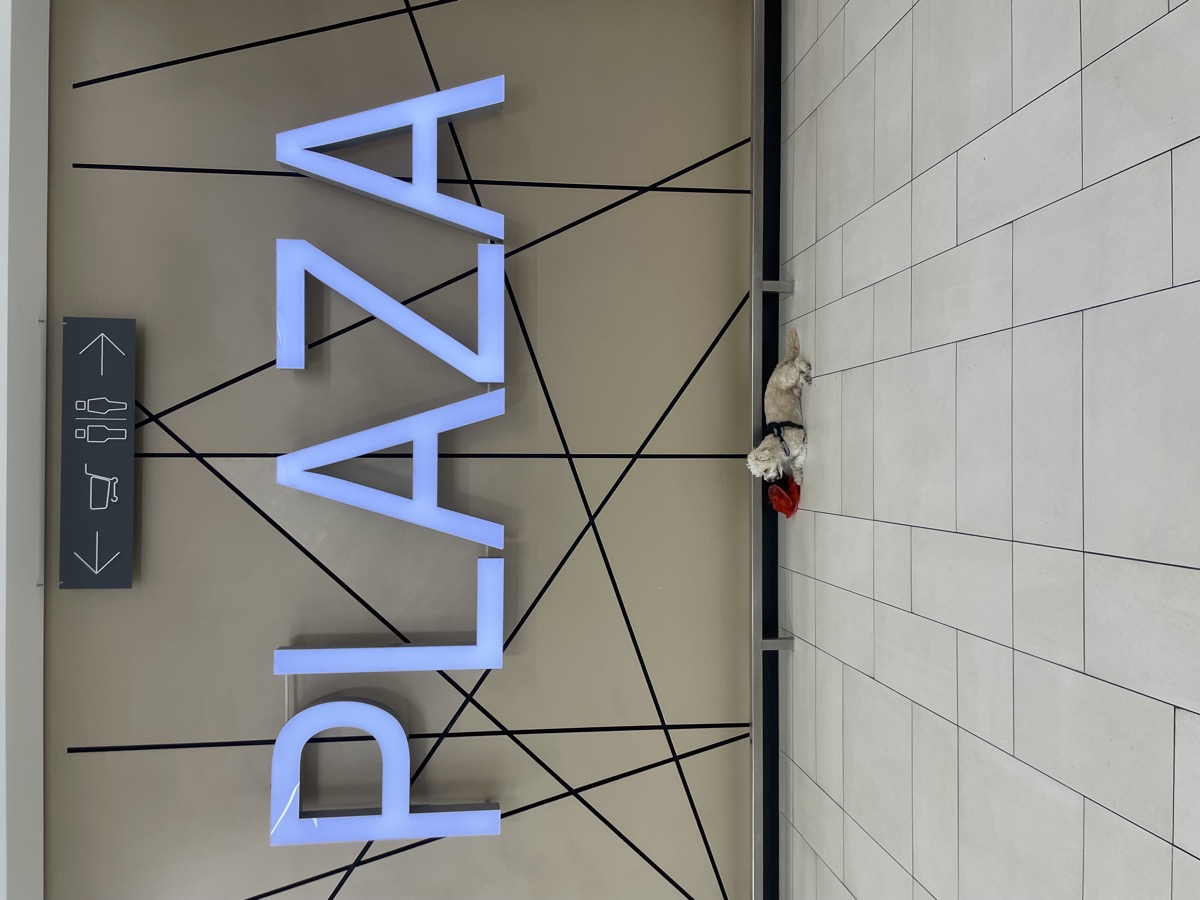 Wir m&uuml;ssen leider draussen bleiben (1)