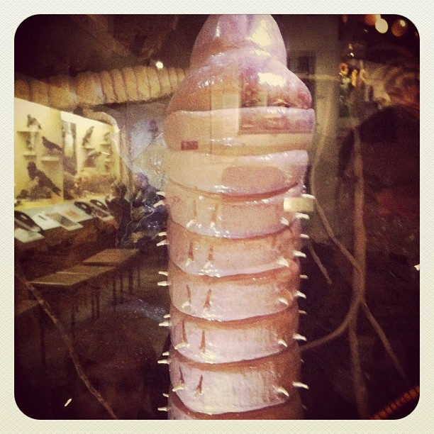 Museumsp&auml;dagogik