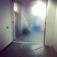 Ab heute ist Dexter f&uuml;r 2 Wochen in der Redaktion.