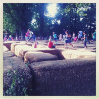 Warum liegt da Stroh?