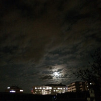 Gute Nacht M&uuml;nchen