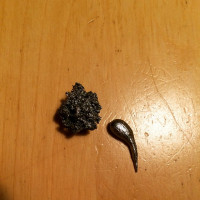 Seht ihr auch, was ich sehe?