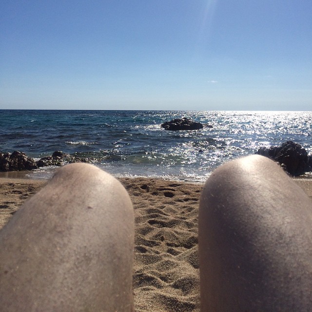 R&auml;tself&uuml;chse aufgepasst! Hotdog or leg?