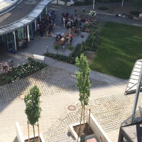 Im Nachbarhof wird auch schon wieder gequatscht.