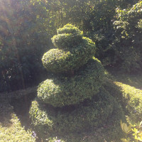 Im Skansen ein @diplix Geb&uuml;sch entdeckt.