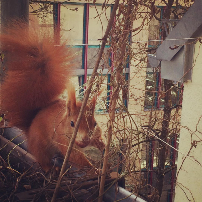 Besuch am Mittagstisch