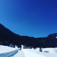 Auf zur Schwarztennalm