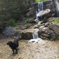 Schnell noch das Fell waschen, bevor die sechs Irren ihre nackten Stinkef&uuml;&szlig;e reinh&auml;ngen.