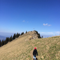 Zum Bodenschneid- Gipfel