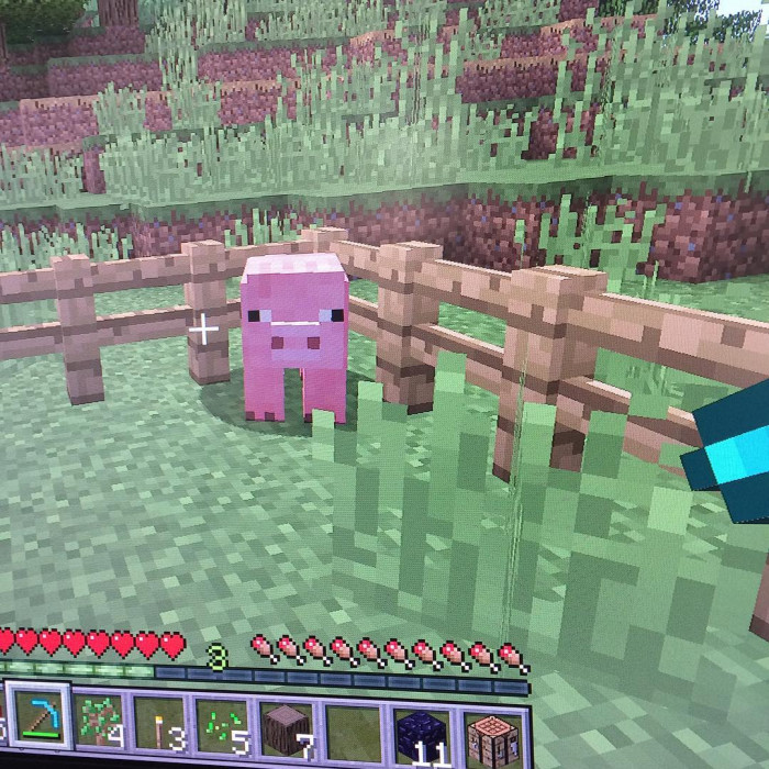 Minecraft mit 🐷
