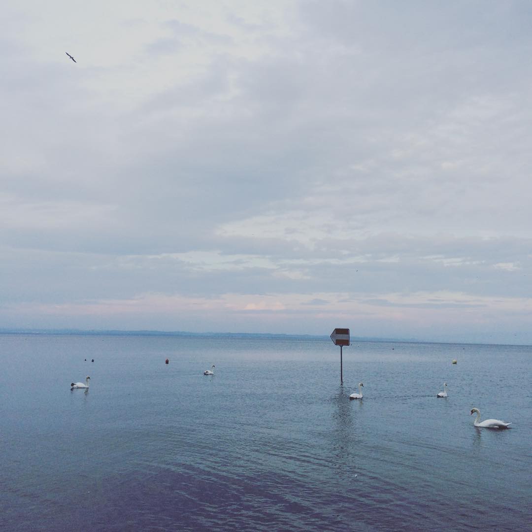 Bodensee