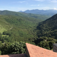 Castellare-di-Mercurio ist schon wieder so ein Bergdorf, wo die Stra&szlig;e aufh&ouml;rt. Insgesamt 33 Einwohn