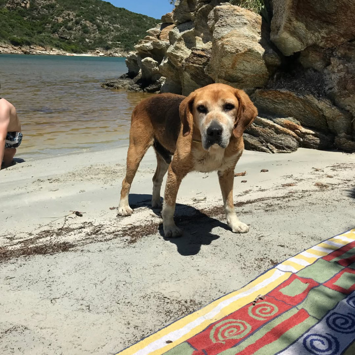 Von Saint-Florent f&auml;hrt man mit dem Boot (erste Fahrt in der Nebensaison um 10:00 mit  @le.popeye) i