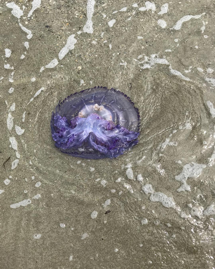 Warum mir offene Gew&auml;sser suspekt sind (Grund 1 - 10)