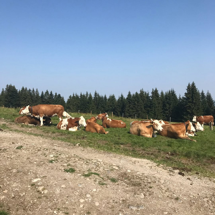 Die Wanderung von Tegernsee nach Schliersee ist ideal f&uuml;r eine Anreise mit der Bahn. Um 7:00 f&auml;hrt d