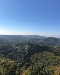 2 Tage lang im Pf&auml;lzer Wald rumgelaufen. &Uuml;berall im Wald stehen Felsen und alte Burgruinen. Abends i