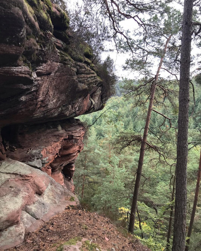 2 Tage lang im Pf&auml;lzer Wald rumgelaufen. &Uuml;berall im Wald stehen Felsen und alte Burgruinen. Abends i