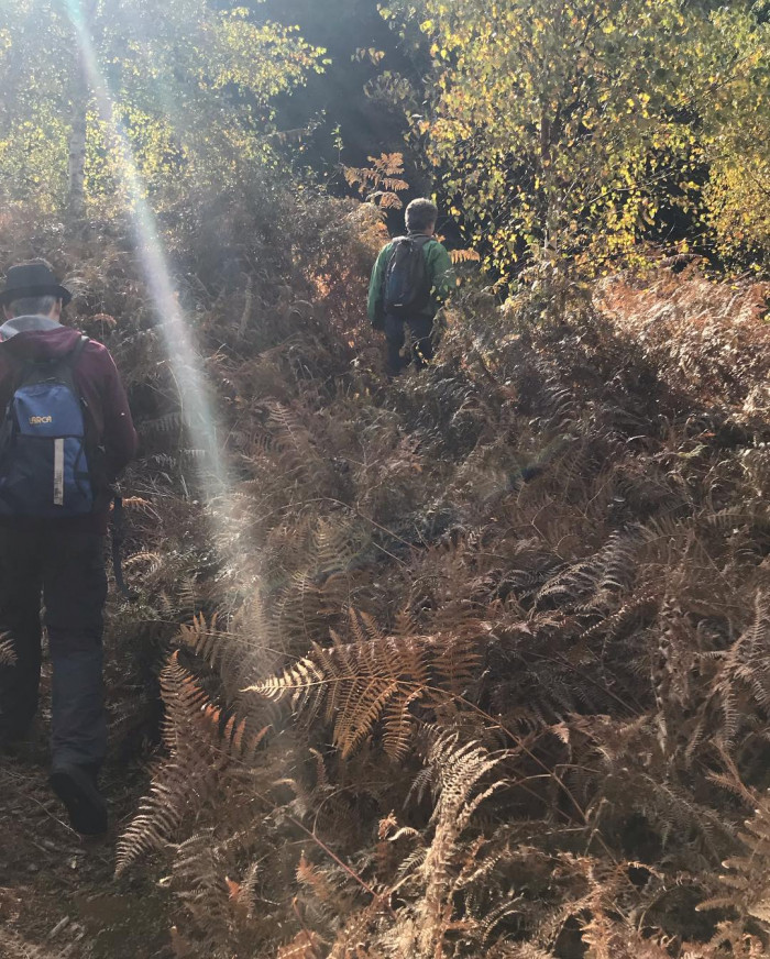 2 Tage lang im Pf&auml;lzer Wald rumgelaufen. &Uuml;berall im Wald stehen Felsen und alte Burgruinen. Abends i