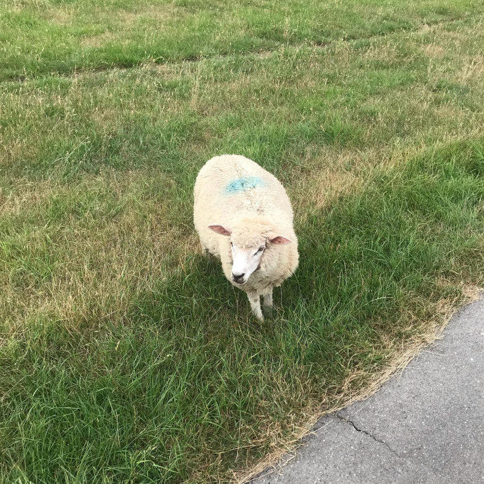 Tag 1: Von Hamburg nach Gl&uuml;ckstadt.