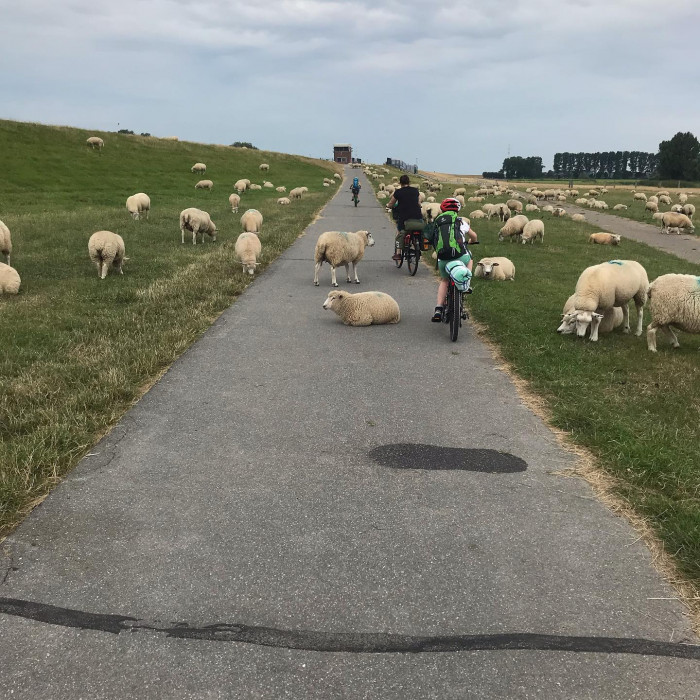 Tag 1: Von Hamburg nach Gl&uuml;ckstadt.