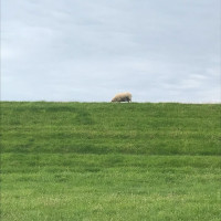 Tag 1: Von Hamburg nach Gl&uuml;ckstadt.