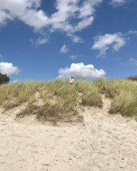 Tag 10: Kleine Radrunde auf F&ouml;hr.  Erst mal Regenschauer abwarten, dann ein bisschen f&ouml;hrd&uuml;nisieren.