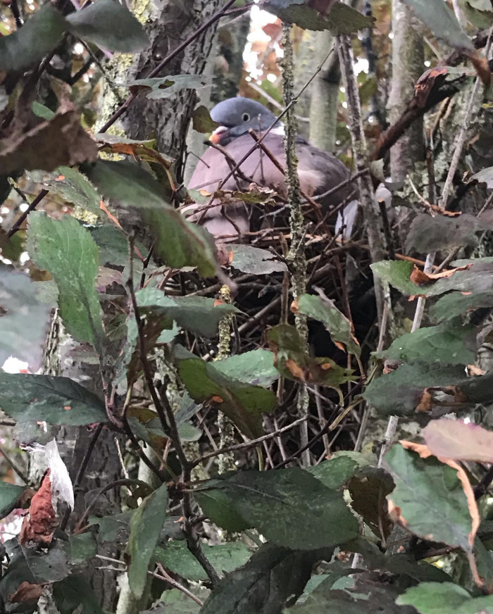 Tag 10: Kleine Radrunde auf F&ouml;hr.  Erst mal Regenschauer abwarten, dann ein bisschen f&ouml;hrd&uuml;nisieren.
