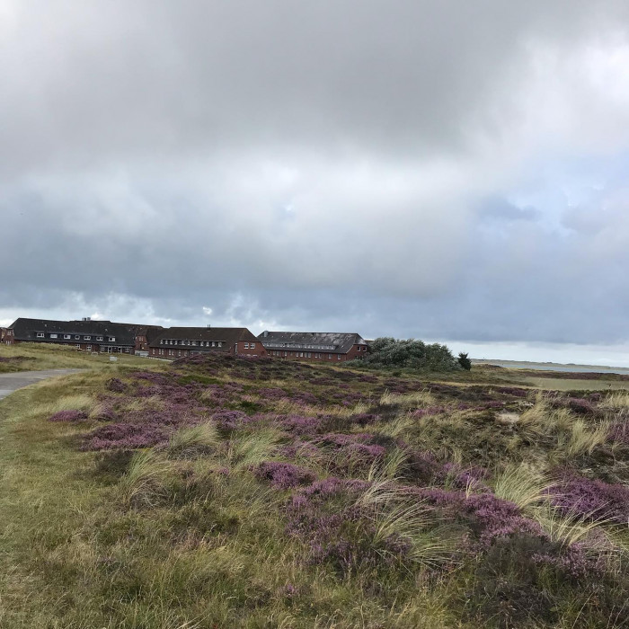 Tag 11 und 12: Nach F&ouml;hr kommt Sylt. Mit dem Zug geht es von Dageb&uuml;ll nach Westerland auf Sylt. Nach