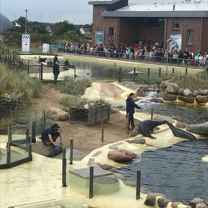 Tag 3: Brunsb&uuml;ttel nach Friedrichskoog.