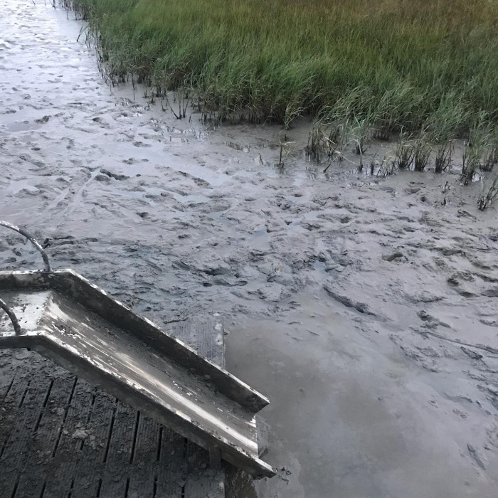 Tag 5: Von B&uuml;sum nach T&ouml;nning.  Windstill zuerst 20 Kilometer an der K&uuml;ste entlang. Ein andersfarbig