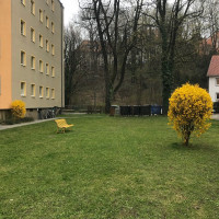 Ich habe in M&uuml;nchen eigentlich nur zwei Stammstrecken. Die eine geht nach links, die andere nach rec