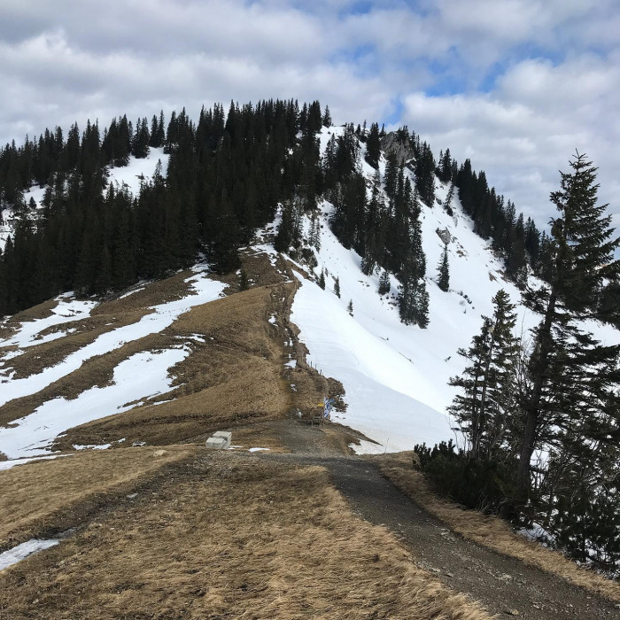 Mit BOB und Bus bis Spitzingsee. Dann Richtung Rotwandhaus. Der Schlittenweg ist leider wegen Lawine