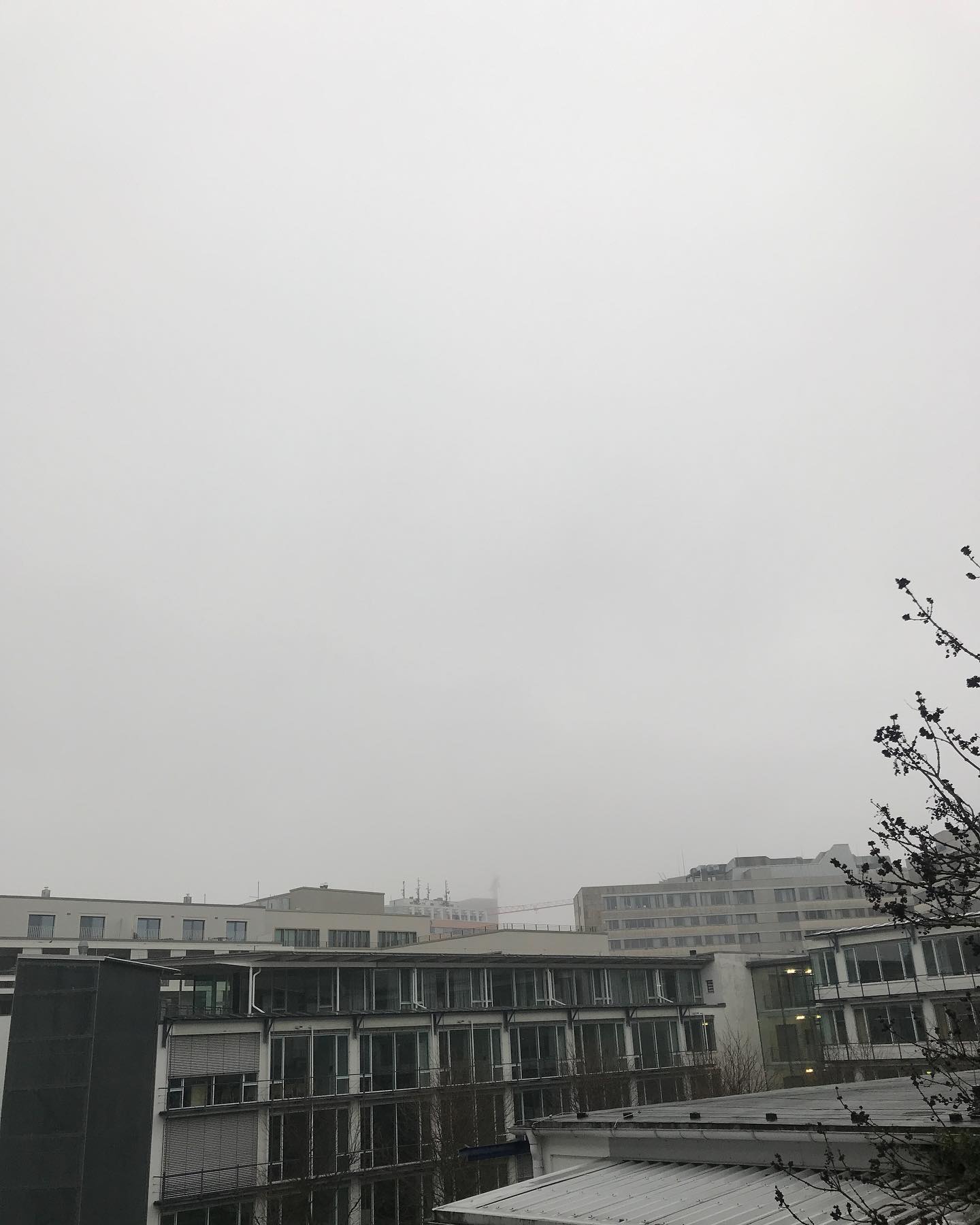 Moin M&uuml;nchen (Wetter supported ebenfalls die Ausgangsbeschr&auml;nkungen)