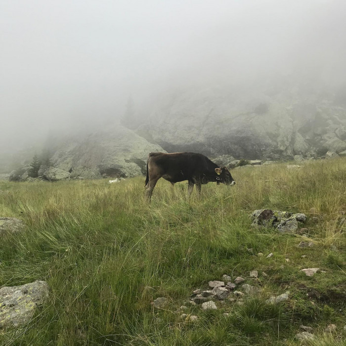 Es war ein bisschen neblig am Laugensee, aber daf&uuml;r waren wir auch fast alleine um 11:00 dort droben